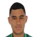 https://img.tzhuarui.com/img/football/player/5c6f790b76d30c70795576585c8cfea6.png