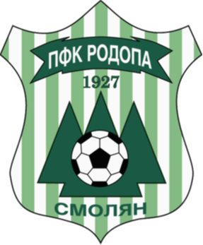 https://img.tzhuarui.com/img/football/team/1df902871a13fb5212ca000227368462.png