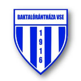 https://img.tzhuarui.com/img/football/team/39116c5e21ca7e32093bbd34845eddf3.png