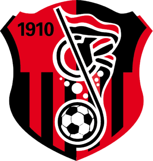 https://img.tzhuarui.com/img/football/team/93e018cff141af47eae05333ac19a65d.png